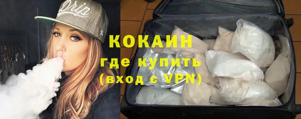 прущие грибы Абинск