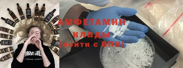 прущие грибы Абинск