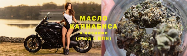 прущие грибы Абинск