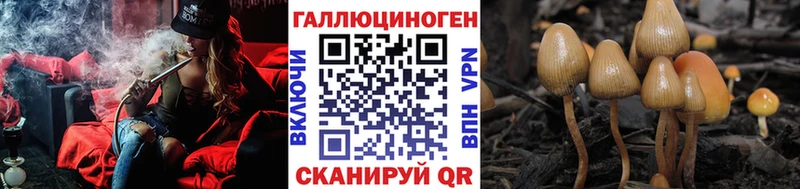 Галлюциногенные грибы Cubensis  Моршанск 