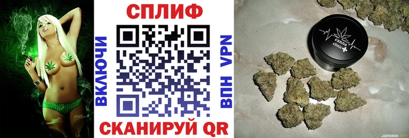 как найти закладки  Моршанск  мориарти состав  Каннабис LSD WEED 
